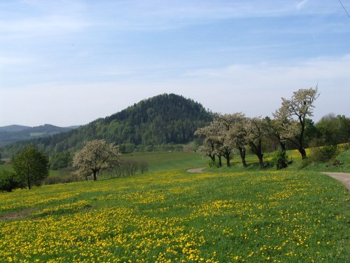 Mazova horka