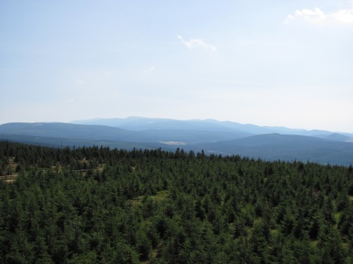 Pohled ze Smrku na Krkonoše