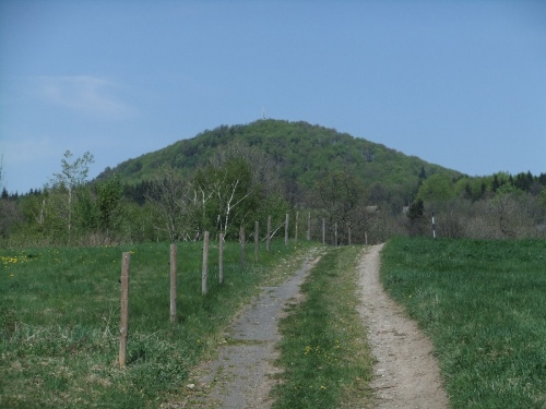 Luž