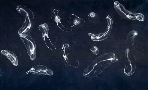 Jiří Georg Dokoupil: Bubbles about Dark Blue Porn (2009), akryl a mýdlové bubliny na plátně