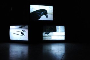 Douglas Gordon: Krev, pot, slzy