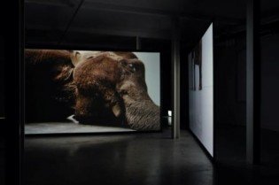 Douglas Gordon: Hra na mrtvého