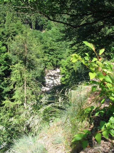 Jizera
