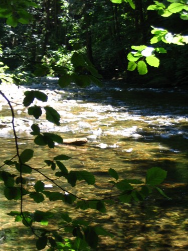 Kamenice