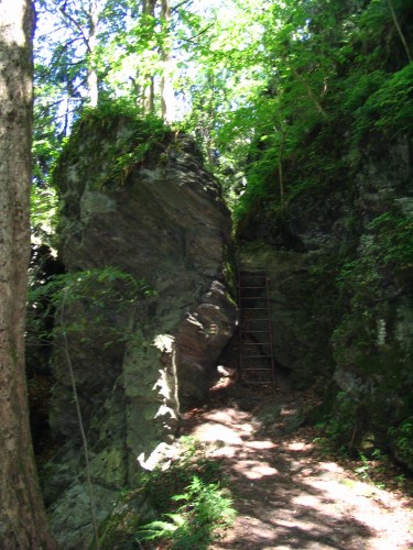 Palackého cesta
