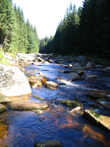 Jizera