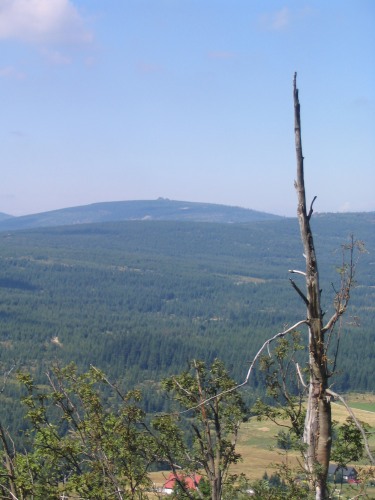 Jizera z Bukovce
