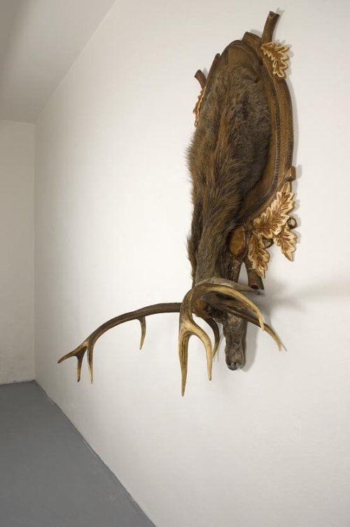 Marek Kvetán: Trophy