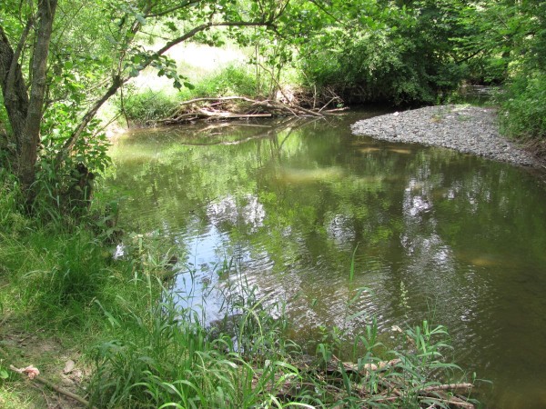 Kocába